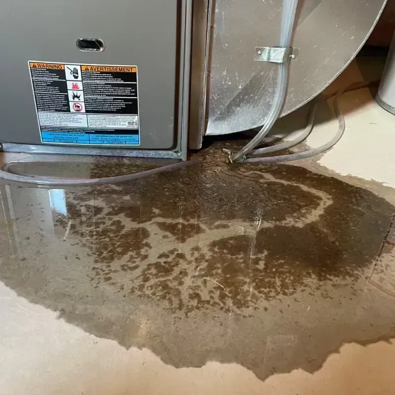 Appliance Leak Cleanup in Middletown, KY